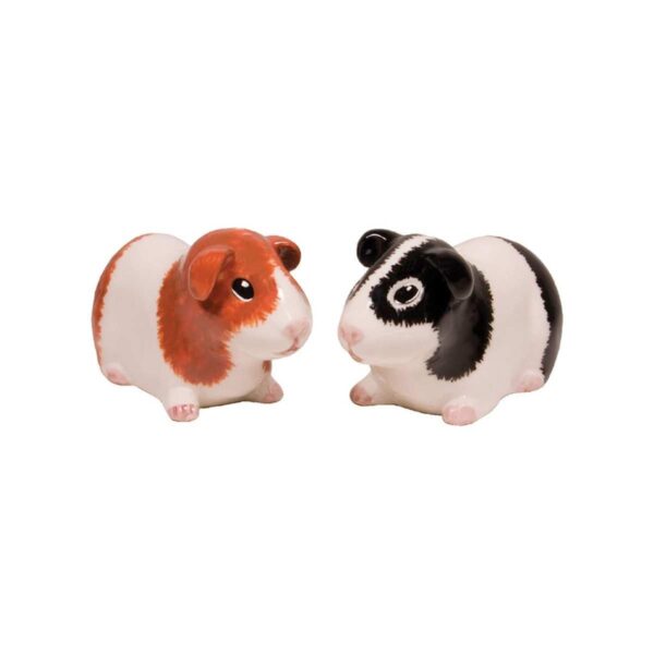 Exquisite Novelty Salt & Pepper Set By Streamline Imagined (Guinea Pig (4x1.75x2))