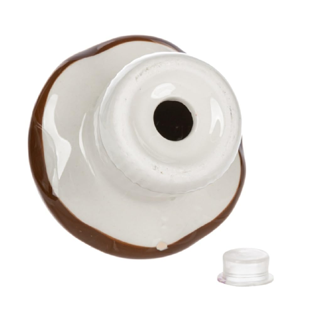 ganz er73082 fairytale woodland mushrooms 3.5 x 3.5 x 3.25 inches each dolomite ceramic collectible tabletop salt & pepper shaker figurines, home kitchen décor, 2 piece set ganz er73082 fairytale woodland mushrooms 3.5 x 3.5 x 3.25 inches each dolomite ceramic collectible tabletop salt & pepper shaker figurines, home kitchen décor, 2 piece set