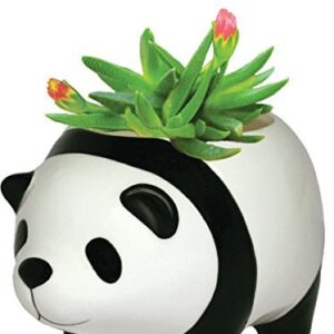panda bear plant pot