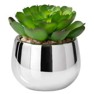 Torre & Tagus Artificial Succulent in Ceramic Planter - Premium Lifelike Potted Echeveria in Silver Cachepot for Home Decor in Small Spaces (Small Echeveria Succulent)
