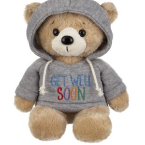 get well soon plush gift (hooded teddy) 9 inches h.