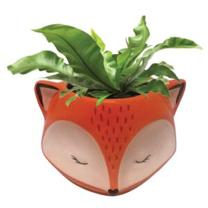 streamline imagined fox planter
