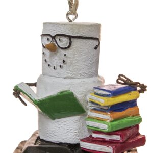 s'mores book lovers book nerd christmas/ everyday ornament